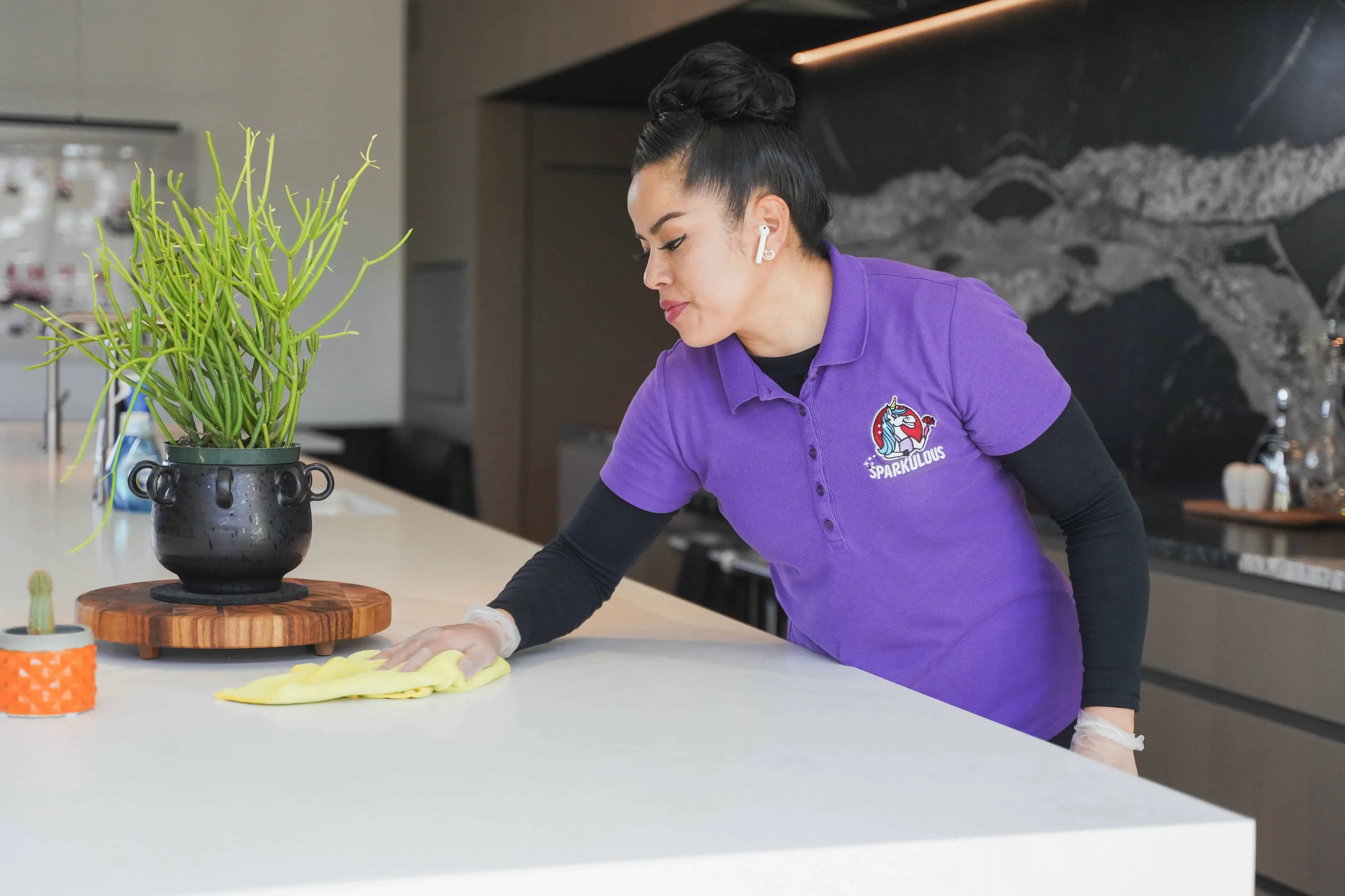 Kitchen Counter Cleaning